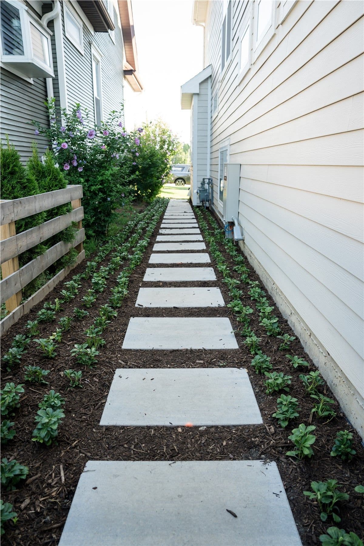 A stone paver path runs between two houses. Greenery and flowers are on the left.